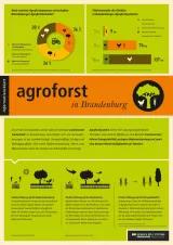 Infoblatt Agroforst