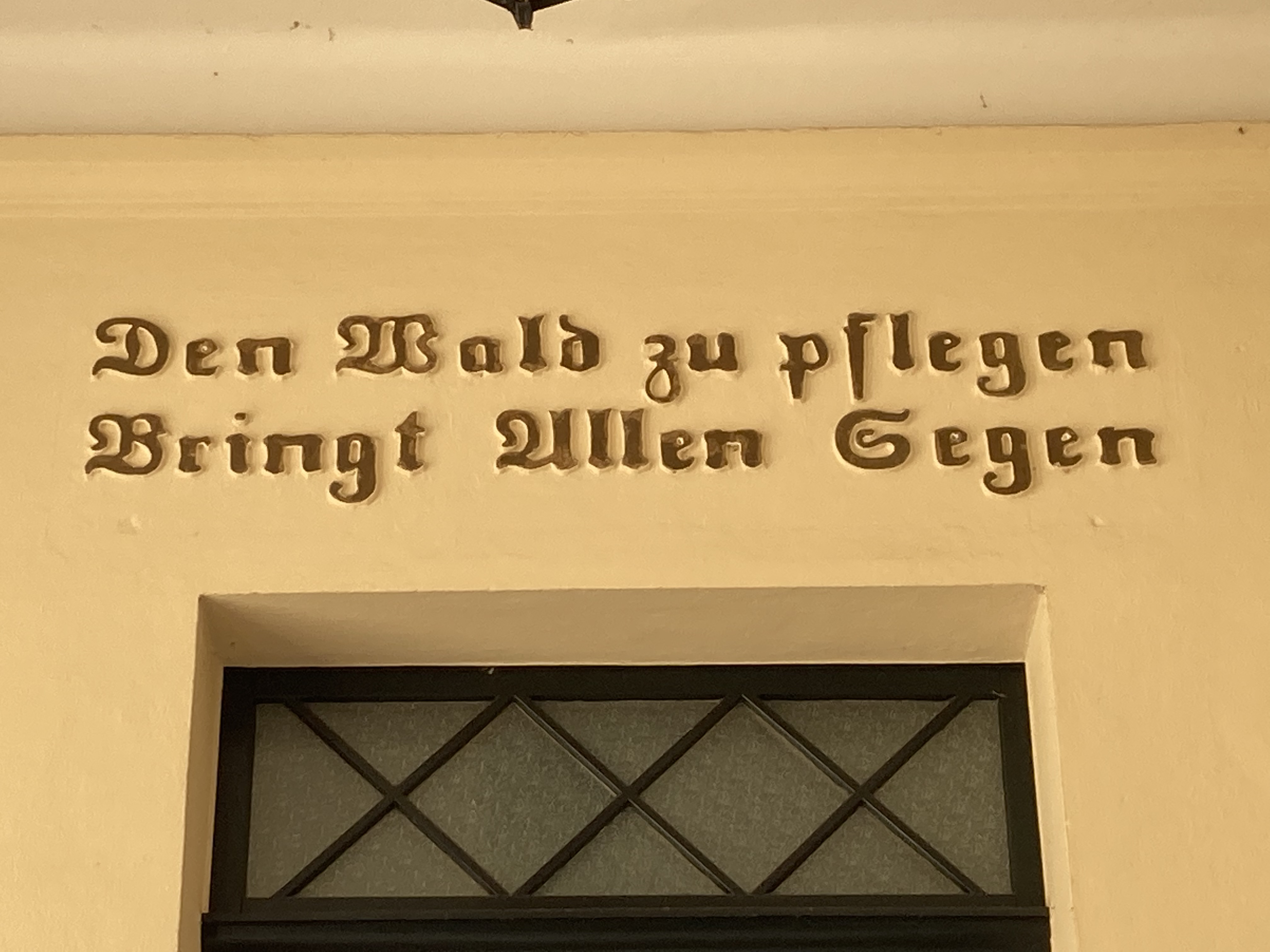 Den Wald zu pflegen Den Wald zu pflegen