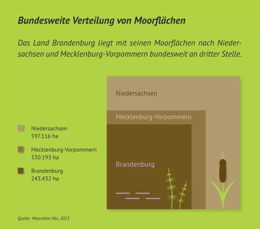 Verteilung Moor Deutschland Top 3