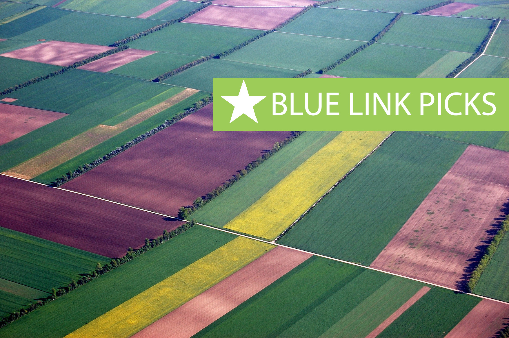 Aerial View of fields with coloured crops